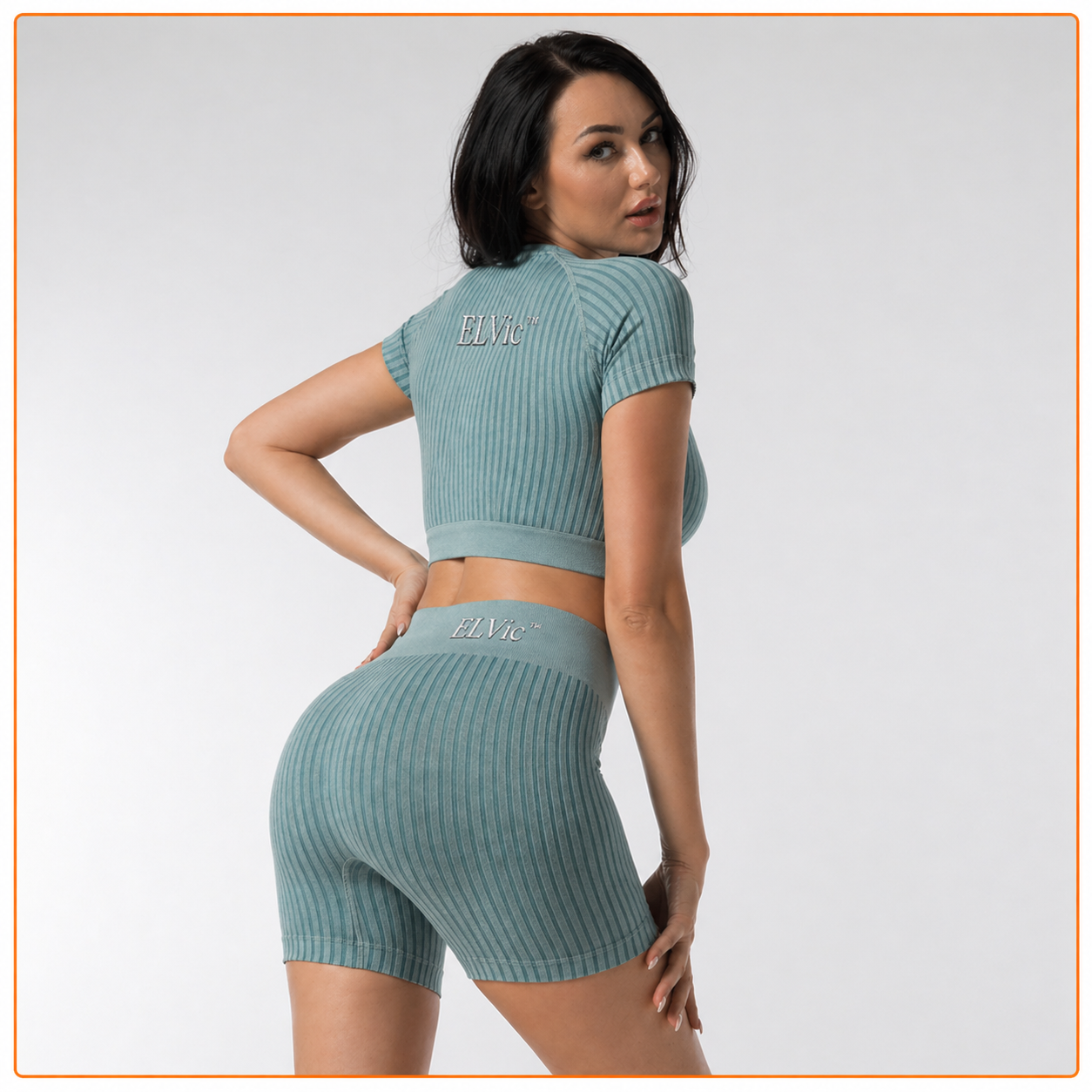 ELVic™ SculptFit Seamless Gym Set – High Waist Summer Activewear